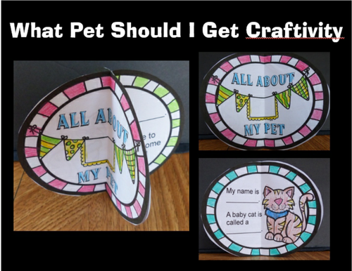 What Pet Should I Get? Craftivity