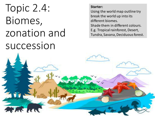 Topic 2.4 Biomes, Zonation and Succession