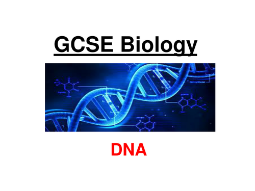 GCSE Biology - DNA, DNA Replication & Protein Synthesis