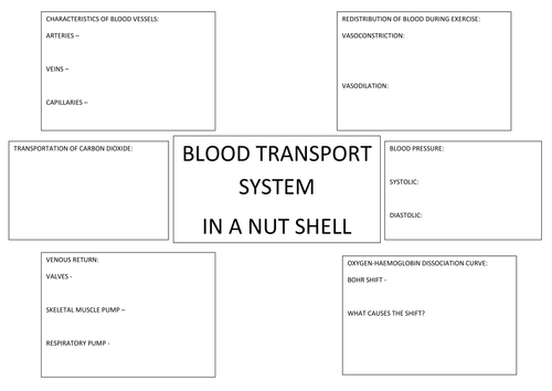 Blood Transpor System
