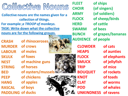 grammar-nouns-types-of-nouns-yr-5-6-teaching-resources