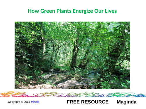 Green Plants – Energising Our Lives 