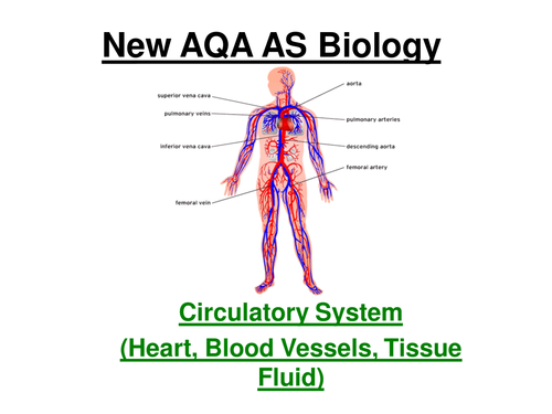 New AQA AS Biology - Circulatory System