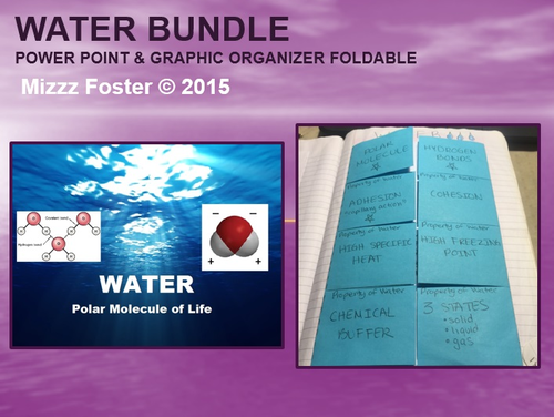Water Bundle: Power Point and Graphic Organizer