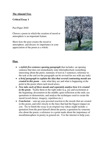 The Almond Tree essay plan