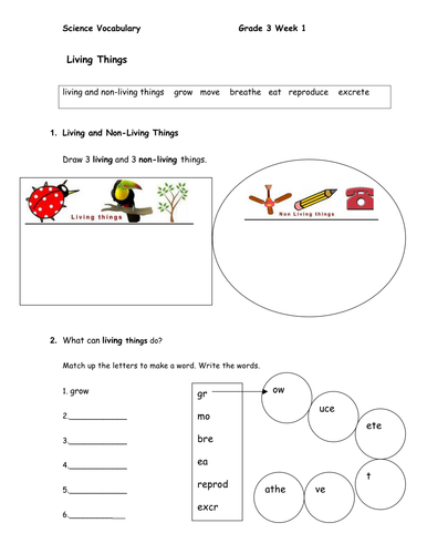 Living Things worksheet Year 3