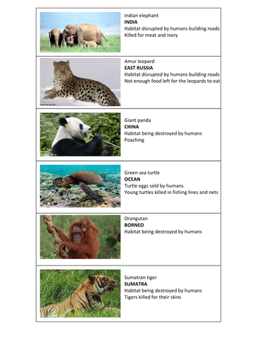 GCSE Biology - Endangered species (SEN / Foundation)
