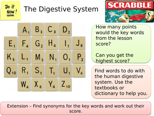 Digestive System