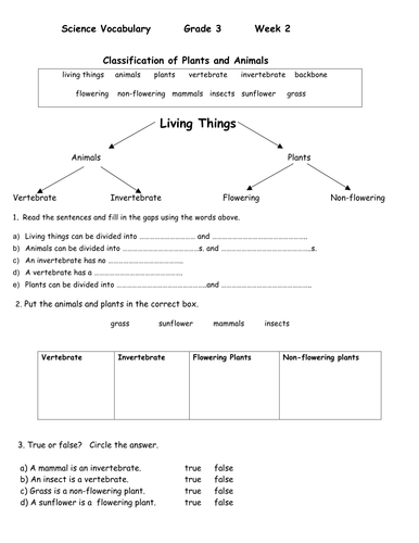 classification pdf worksheet animal vocabulary Science for worksheet and ESL interactive