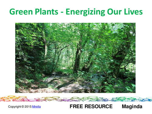 Green Plants – Energizing Our Lives