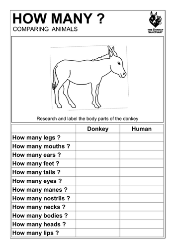 comparing animal bodies how many teaching resources