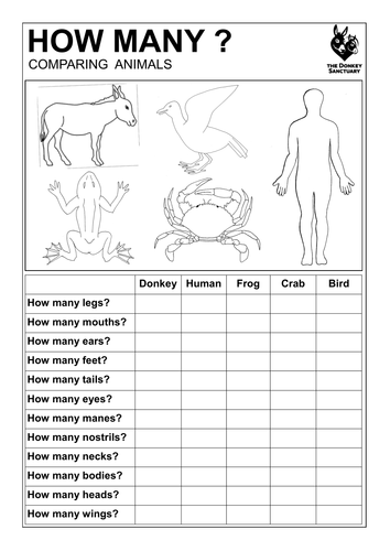 worksheet welfare animal The   TES Sanctuary Resources Teaching Donkey