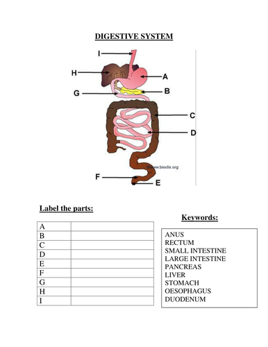 ks3 or gcse sen foundation biology food tests ppt worksheets teaching resources