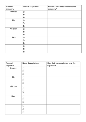 Competition and Adaptation