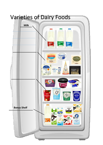 Dairy Foods Worksheet | Teaching Resources