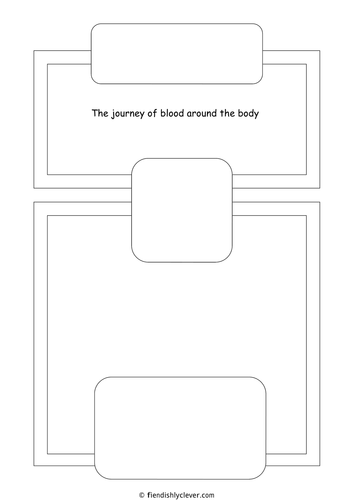 Blood components and circulatory system