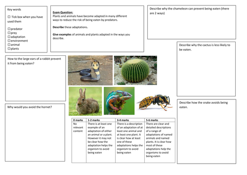 QWC Writing Frame with picture prompt - Adaptation for Survival