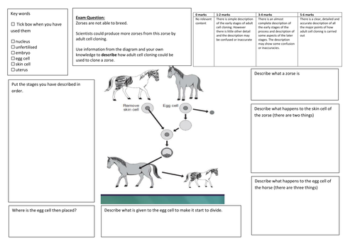 QWC Writing Frame with picture prompt - Cloning