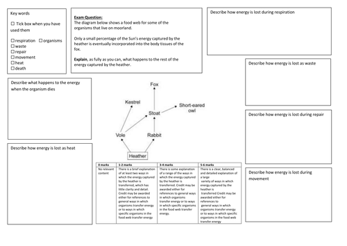 QWC Writing Frame with picture prompt - Food Web