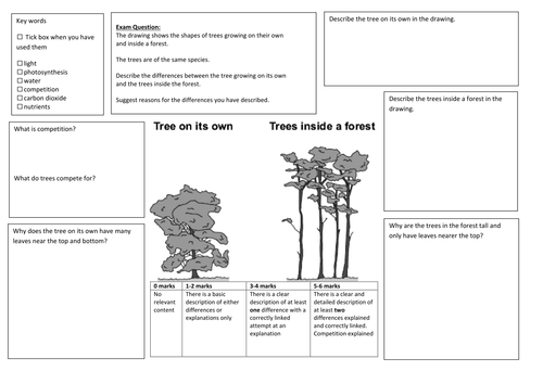 QWC Writing Frame with picture prompt - Plant Competition