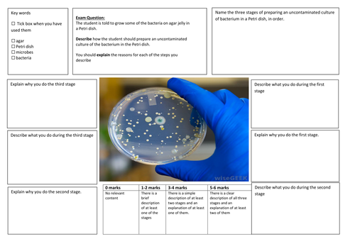 QWC Writing Frame with picture prompt - Preparing Bacteria