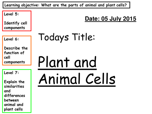 Cells lesson 2 - Plant and animal cells