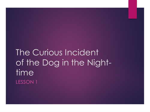 'The Curious Incident of the Dog in the Night-time' full novel SoW.