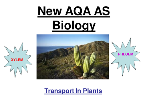 New AQA AS Biology - Transport In Plants