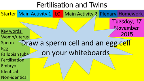 Fertilisation and twins - Year 7 science