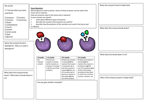 QWC Writing Frame with picture prompt - Enzymes