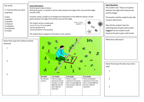 QWC Writing Frame with picture prompt - Validity fo Quadrat