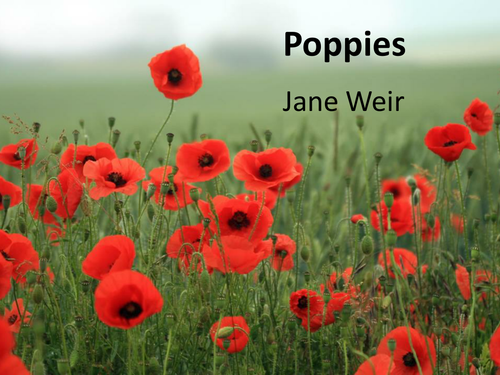 WAR POETRY Poppies by Jane Weir