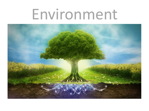 Biology: Environment KS3 GCSE Foundation for all exam boards, the carbon cycle, the nitrogen cycle.