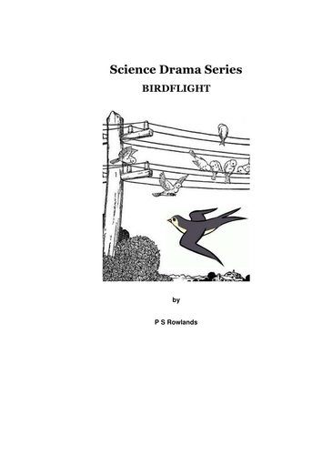 Birdflight