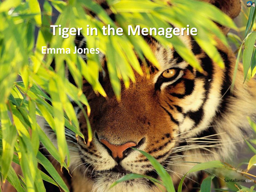 CIE IGCSE Literature Poetry - 'Tiger in the Menagerie' by Emma Jones