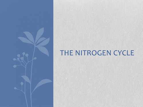 Nitrogen Cycle Lesson PPT