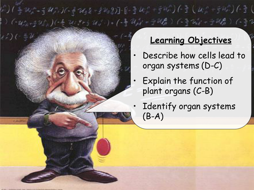 AQA B2.5 - Tissues, organs and organ systems lesson