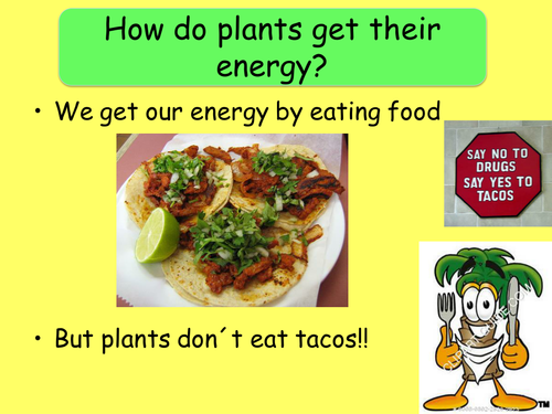 AQA B2.6 - Photosynthesis and its limiting factors