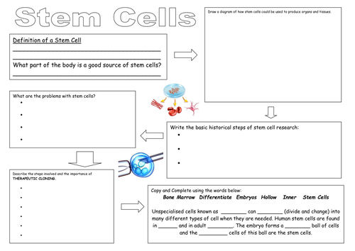 Stem Cells Research Sheet