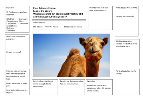 Differentiated Adaptation Research Writing Frames