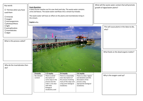 QWC Writing Frame with picture prompt - Eutrophication