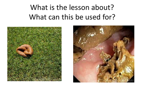 AQA B3.4 - Impact on the Environment