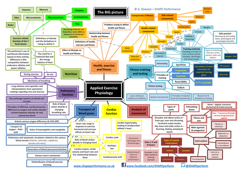 AQA AS PE - PED1 - Big Picture of Applied Exercise Physiology and Training topics