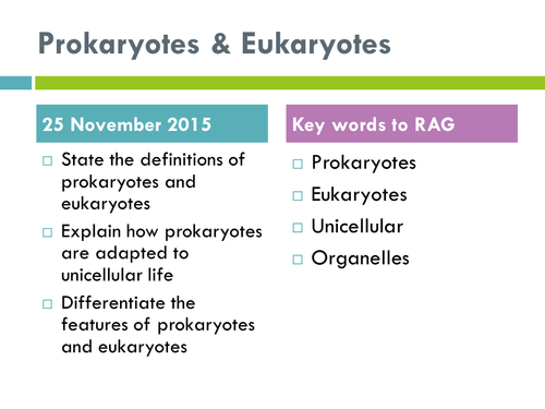 Prokaryotes and Eukaryotes