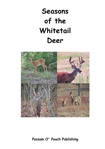 Seasons of the Whitetail Deer