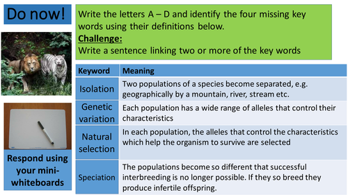 Lesson to support and develop extended writing skills - exam Q from AQA module B2 Higher paper 