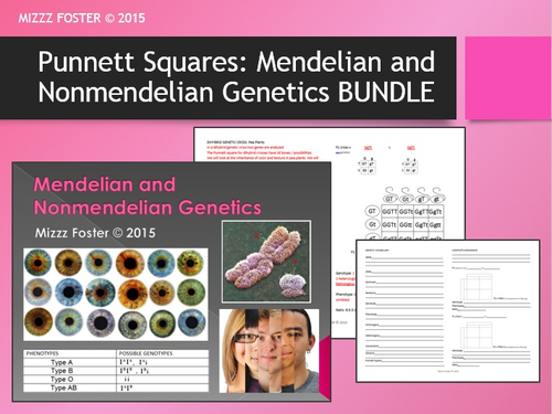 Genetics: Punnett Squares, Mendel, Non-Mendelian Bundle with Power Point, Worksheets and Key