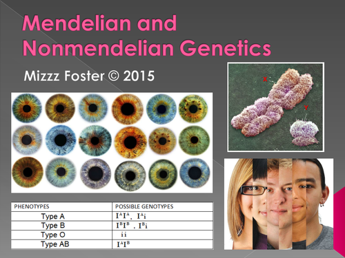 Genetics: Punnett Squares, Mendel, Non-Mendelian Power Point