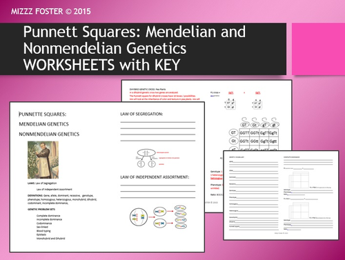 Genetics: Punnett Squares, Mendel, Non-Mendelian Student Worksheets with KEY