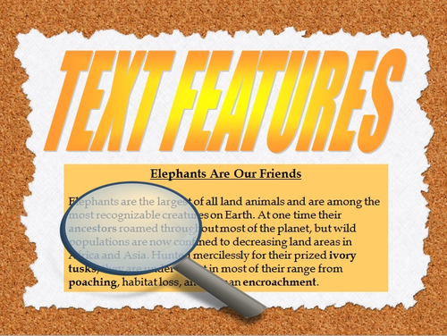 Text Features Use With Any Textbook